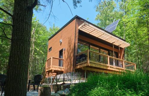 Eastman House | Cabin Zoobox 78
