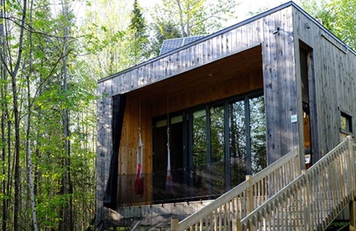 Eastman Cabin | Cabin Zoobox des cervidés