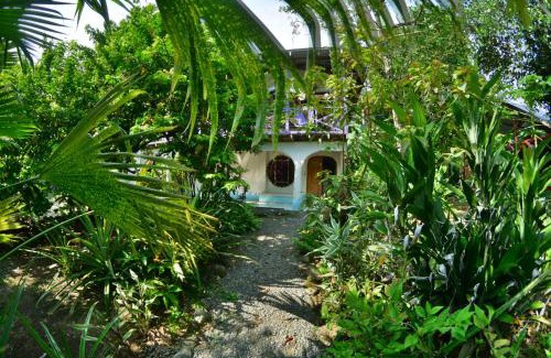 Pavones House | Cabinas carol