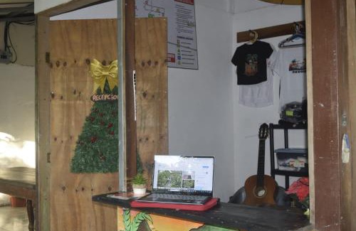 Pavones House | Cabinas carol