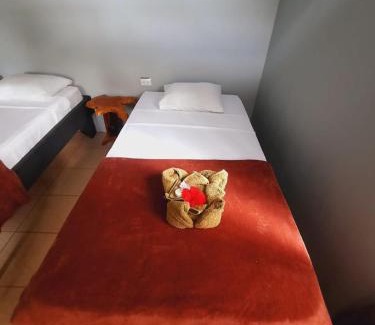 Los Planes Bed & Breakfast | Cabinas Corcovado Green Parrot, Los Planes Drake
