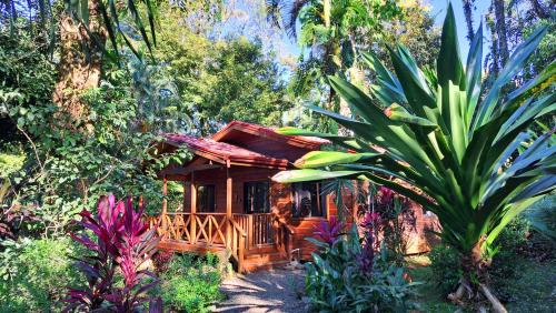 Uvita Cabin | Cabinas Costa Tropicana