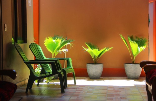 Quepos Apartment | Cabinas Mansión Tropical Quepos
