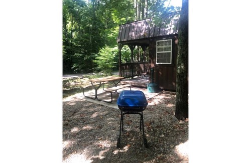 Logan Cabin | Cabins in a Clearing: Walnut, Chestnut & Beech - Check all three