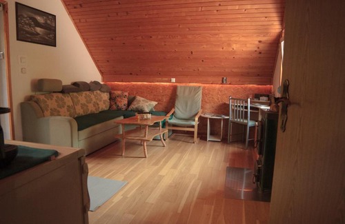 Idrija Apartment | Cable bridge apartment