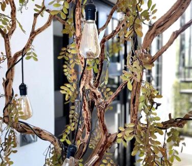 Juarez Apartment | Cabo Lofts