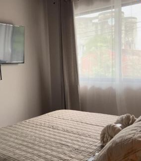 Puntarenas House | Cachorro, Puntarenas