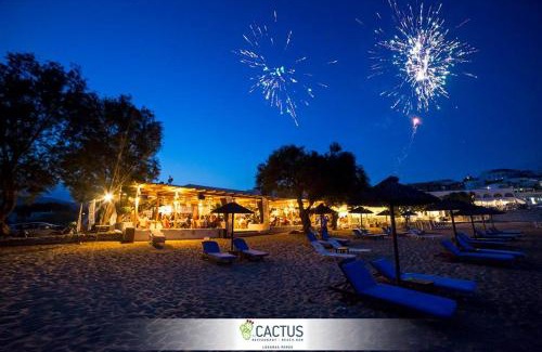 Logaras House | Cactus Beach Paros
