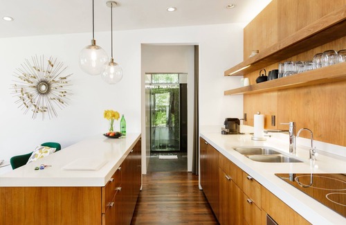 Venice House | Cactus Flower