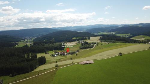 Schwarzenbach House | Café-Pension Feldbergblick