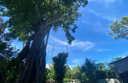 Cahuita Apartment | Cahuita Home Villa