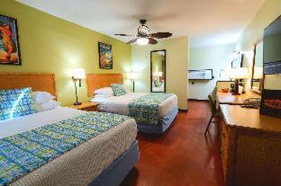 Palm Springs Hotel | Caliente Tropics