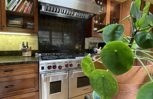 Beach Barber Tract Cottage | California Dreamy in La Jolla -8 min walk to Beach Cottage