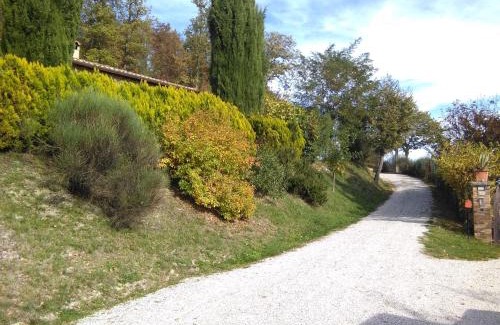 Urbino Bed & Breakfast | Calmancino delle Selve