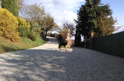 Urbino Bed & Breakfast | Calmancino delle Selve