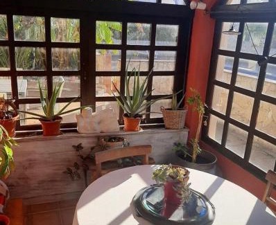 Lagos Villa | Cama da Vaca