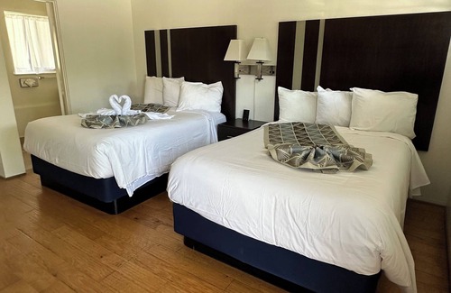 Cambria Hotel | Cambria Palms Motel