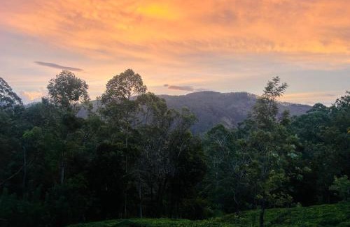 Ella Cabin | Camellia Lodge Ella