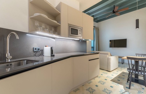 Museo Apartment | Caminante del Agua II