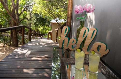 Thorny Bush Game Reserve Other | Camp Bethel