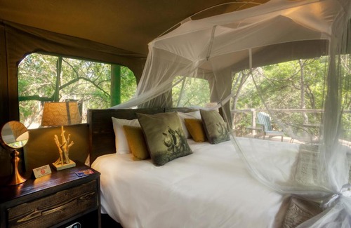 Thorny Bush Game Reserve Other | Camp Bethel