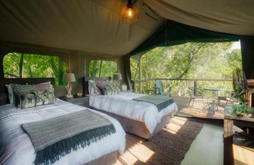 Thorny Bush Game Reserve Other | Camp Bethel