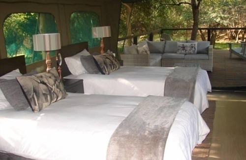 Thorny Bush Game Reserve Other | Camp Bethel