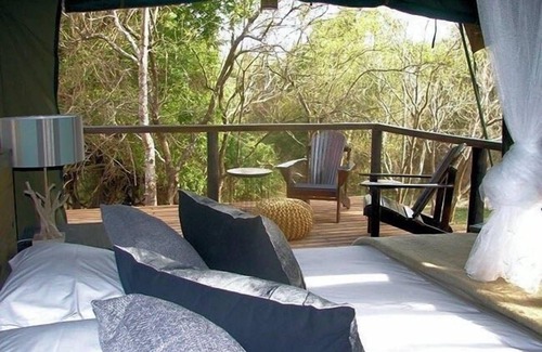 Thorny Bush Game Reserve Other | Camp Bethel