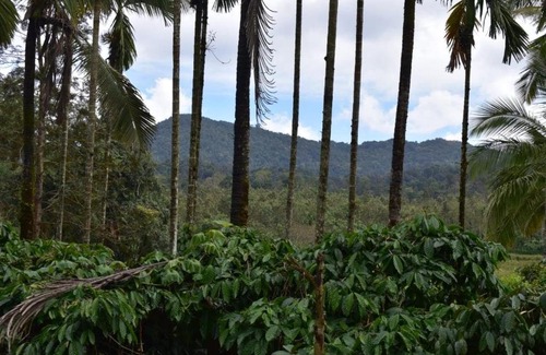 Madikeri Other | Camp Coorg Tents