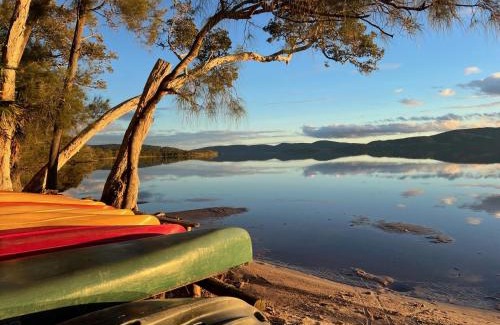 Forster Other | Camp Elim
