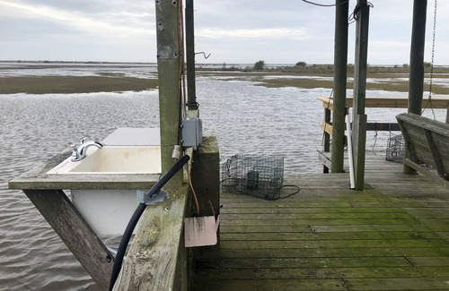Kaplan Cabin | Camp Paradise Pecan Island- Red Cabin Only