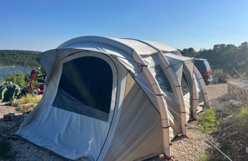 Rose Other | Camp Rose
