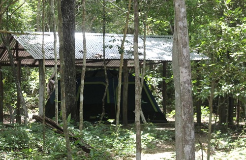 Calakmul Hotel | Campamento Yaaxche en Calakmul