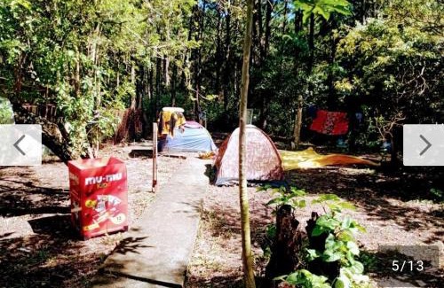 Muquem Other | Campin novas palmeiras 953