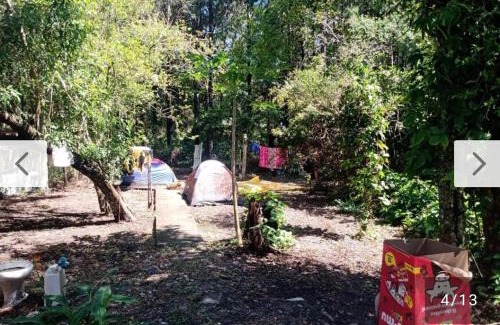 Muquem Other | Campin novas palmeiras 953