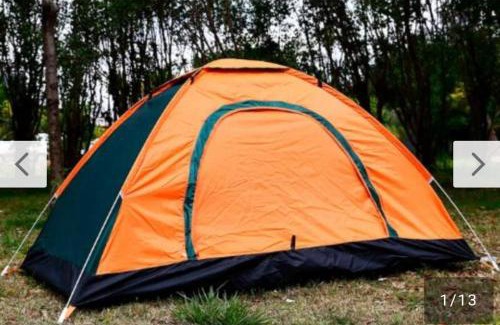 Muquem Other | Campin novas palmeiras 953
