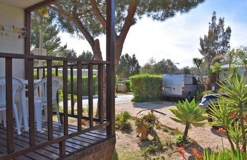 Montes de Alvor Other | Camping Alvor