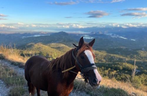 Karuc Other | camping and horseback riding Parci