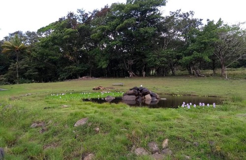 Tierras Morenas RV Rental | Camping and parking area for your motor home 3
