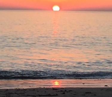 Saint-Denis-d'Oleron Other | Camping Barataud