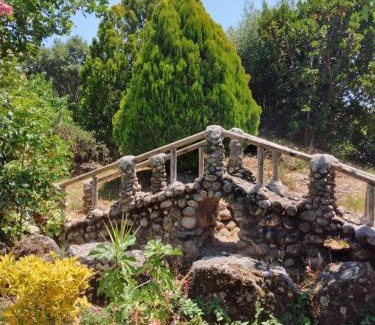 Jarandilla de la Vera Other | CAMPING-BUNGALOWS-CABAÑAS LA VERA