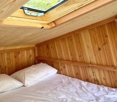 Maurepas-Patton Other | Camping des Gayeulles