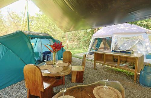 Londres Other | Camping Finca Planeta Sano