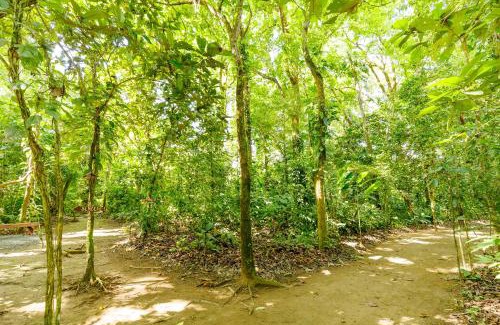 Londres Other | Camping Finca Planeta Sano