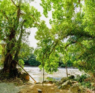 Londres Other | Camping Finca Planeta Sano