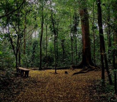 Londres Other | Camping Finca Planeta Sano