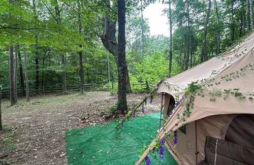 Ray House | Camping in style And comfort
