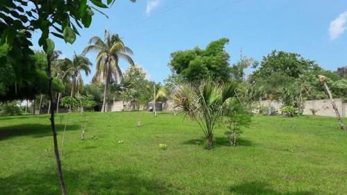 Huautlco Other | Camping Jardín Botánico Herbolario HUMAR