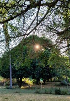 Huautlco Other | Camping Jardín Botánico Herbolario HUMAR