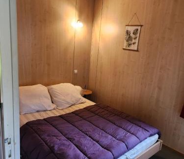 La Chapelle-Taillefert Ski Chalet | Camping La Chapelle